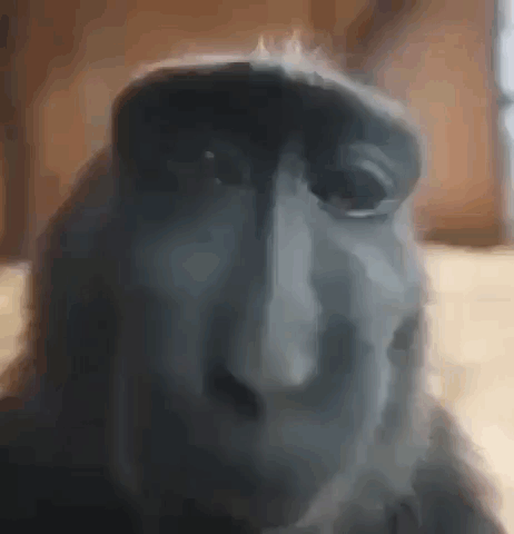 Фото студента - Александр